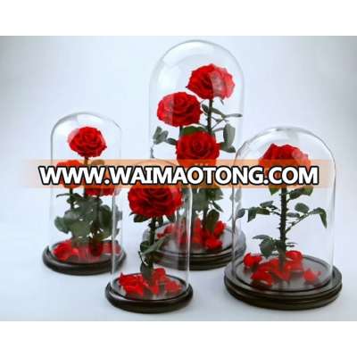 Decorative wholesale glass domes with base as flower glass cloche dome