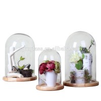 decorative glass dome house with wooden base