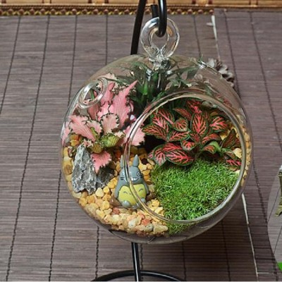 Dia.13cm decorative glass hanging balls plant terrarium with metal stand wholesale