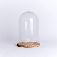 clear glass display dome craft with wooden base